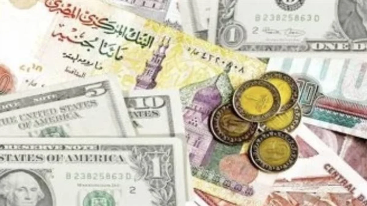 أسعار العملات تبقى متقلبة في مصر اليوم